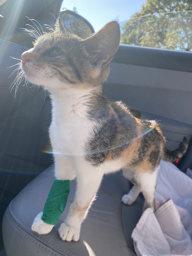 Hardwick Pond Vet Center