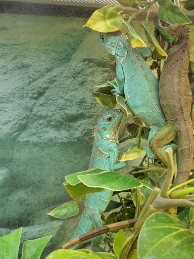 Pet Supply Store «Petco Animal Supplies», reviews and photos, 1220 Commons Cir, Plover, WI 54467, USA