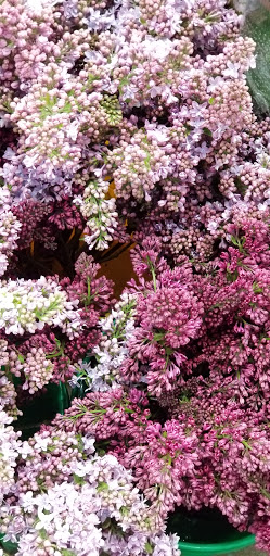 Florist «Cityside Flowers - Metropolitan Wholesale», reviews and photos, 285 N Midland Ave, Saddle Brook, NJ 07663, USA