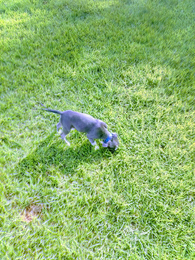 Park «Veterans Park», reviews and photos, 4554 Avenida Granada, Cypress, CA 90630, USA