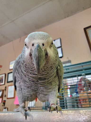 Used Furniture Store «State Street Furniture», reviews and photos, 14 E Front St, Oil City, PA 16301, USA