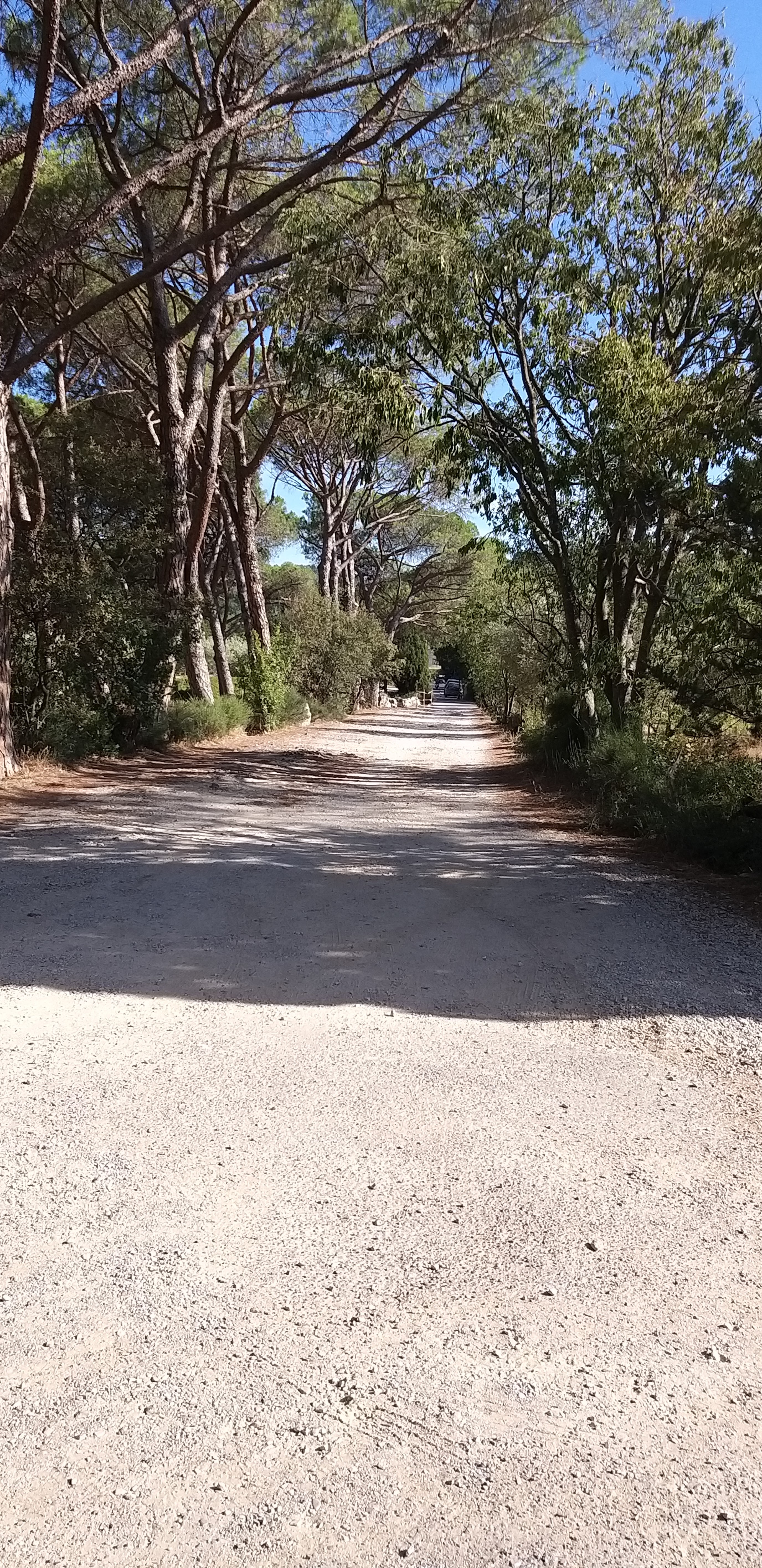 Photo n° 8 de l'avis de unmecdesannees80. fait le 27/08/2019 à 18:09