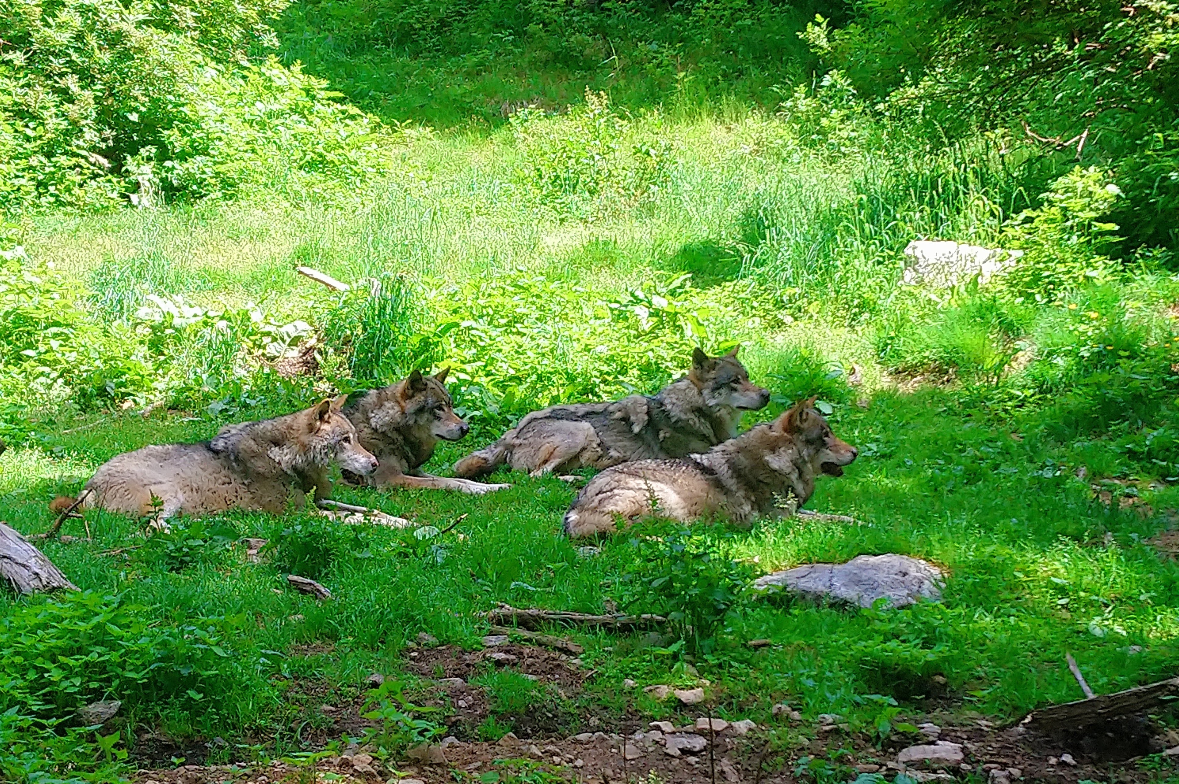 Photo n° 22 de l'avis de CHRISTOPHE. fait le 02/08/2019 à 07:51