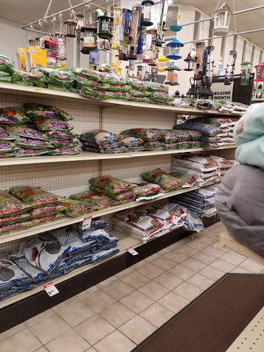 Home Improvement Store «Everydays True Value», reviews and photos, 797 Foote Ave, Jamestown, NY 14701, USA