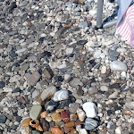 Photo n°3 de l'avis de Sandra.a fait le 27/09/2023 à 15:17 sur le  Al Vecjo Traghèt - Trattoria - Kiosko Tabine - B&B - Area attrezzata camper à Ragogna