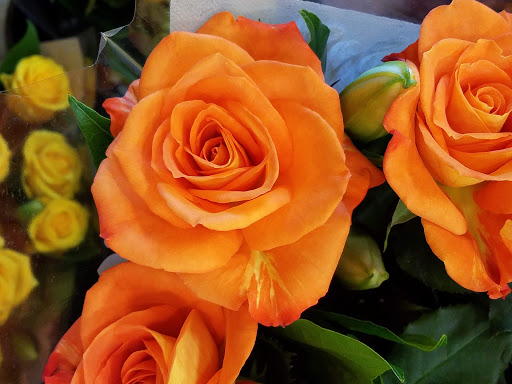 Grocery Store «Safeway», reviews and photos, 1815 4th St, Tillamook, OR 97141, USA