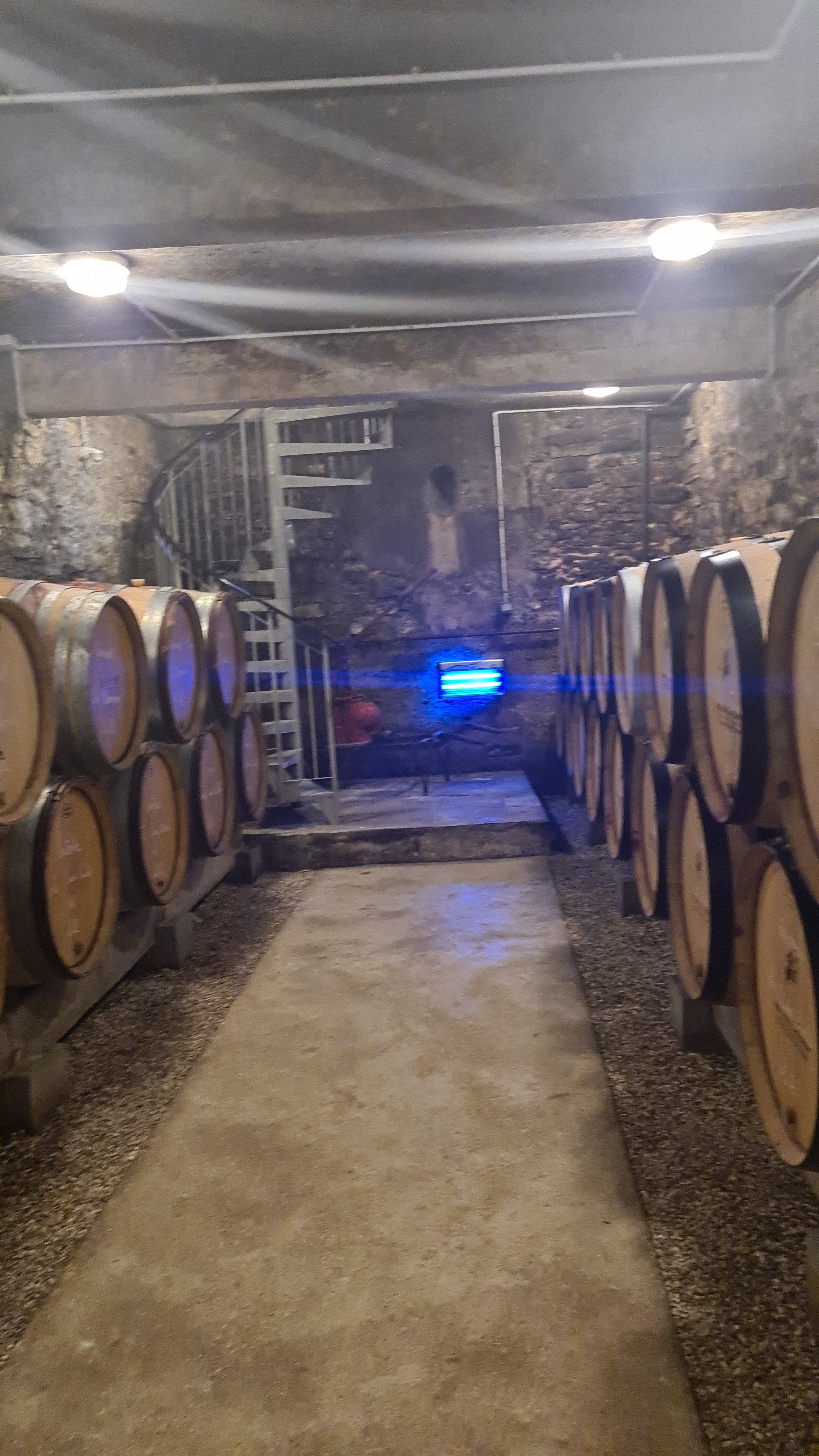 Photo n° 2 de l'avis de Marion.a fait le 12/11/2022 à 10:55