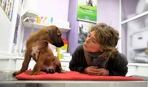 Centro Veterinario Navia en Vigo