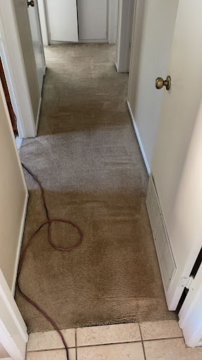 Top Carpet Cleaning Ventura