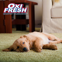 Oxi Fresh Carpet Cleaning - Photo 4 - Car repair in , Baltimore