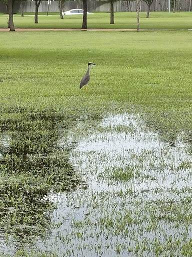 Park «Eagle Ranch West Pocket Park», reviews and photos, 5754 Eagle Sky Blvd, Katy, TX 77449, USA