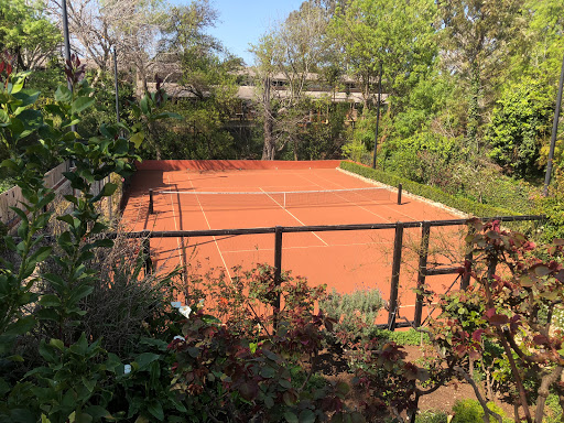 Wayville Clay Tennis Court