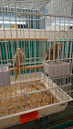 Heathrow Bird & Pet Centre