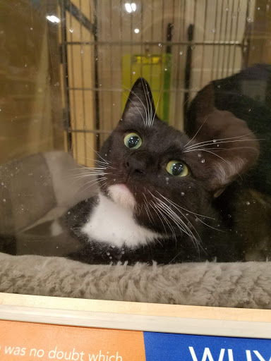 Craft Store «Michaels», reviews and photos, 5 McKenna Rd, Arden, NC 28704, USA