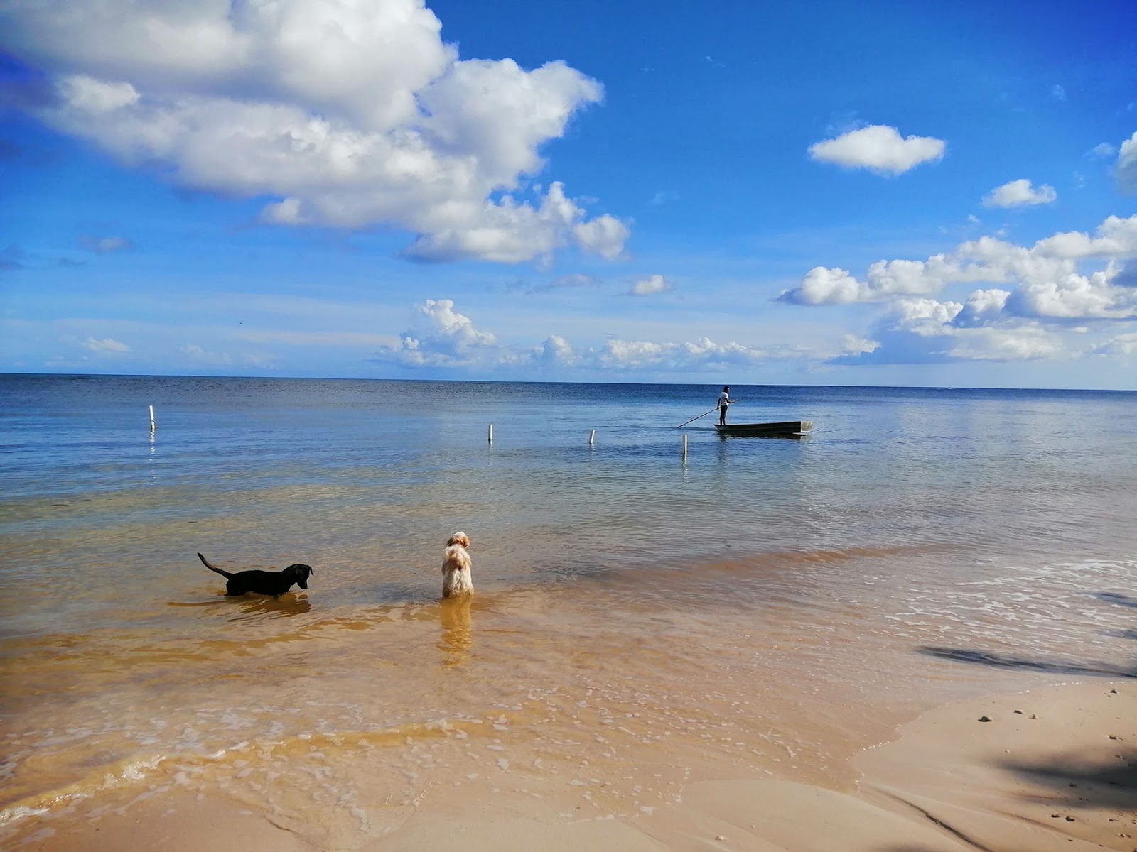 Foto di Maya Chan beach con una superficie del acqua cristallina