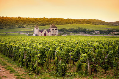Bienvenue en Bourgogne à Chalon-sur-Saône