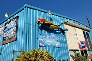 Harry's Dive Shop image