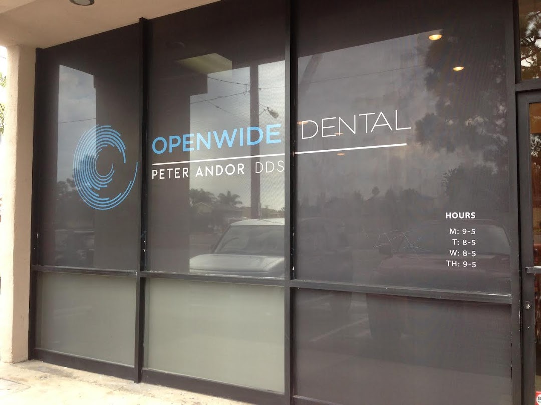 Peter J Andor DDS - OpenWide Dentistry