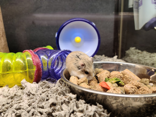 Pet Supply Store «PetSmart», reviews and photos, 5722 Fairmont Pkwy, Pasadena, TX 77505, USA