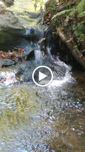 State Park «Panola Mountain State Park», reviews and photos, 2620 GA-155 N, Stockbridge, GA 30281, USA