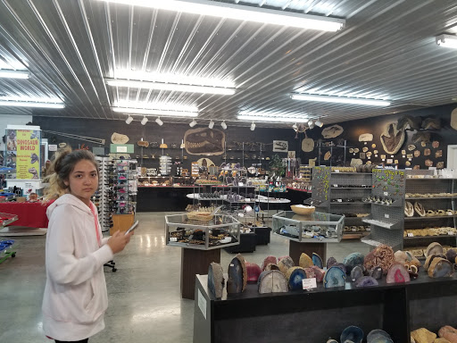 Amusement Center «Dinosaur World», reviews and photos, 711 Mammoth Cave Rd, Cave City, KY 42127, USA