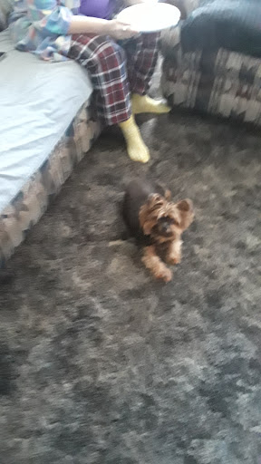 Pet Supply Store «Pet Supermarket», reviews and photos, 2924 13th St, St Cloud, FL 34769, USA