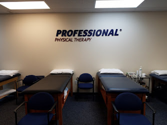 Professional Physical Therapy