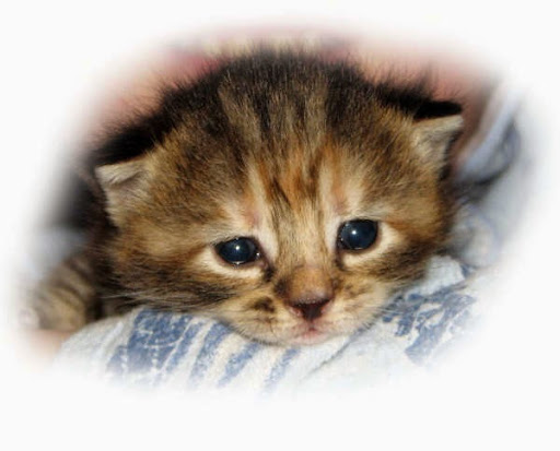 4101 National Rd W, Richmond, IN 47374, USA