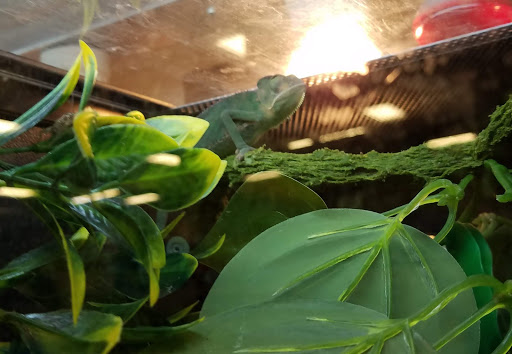 Pet Supply Store «PetSmart», reviews and photos, 34940 Emerald Coast Pkwy, Destin, FL 32541, USA