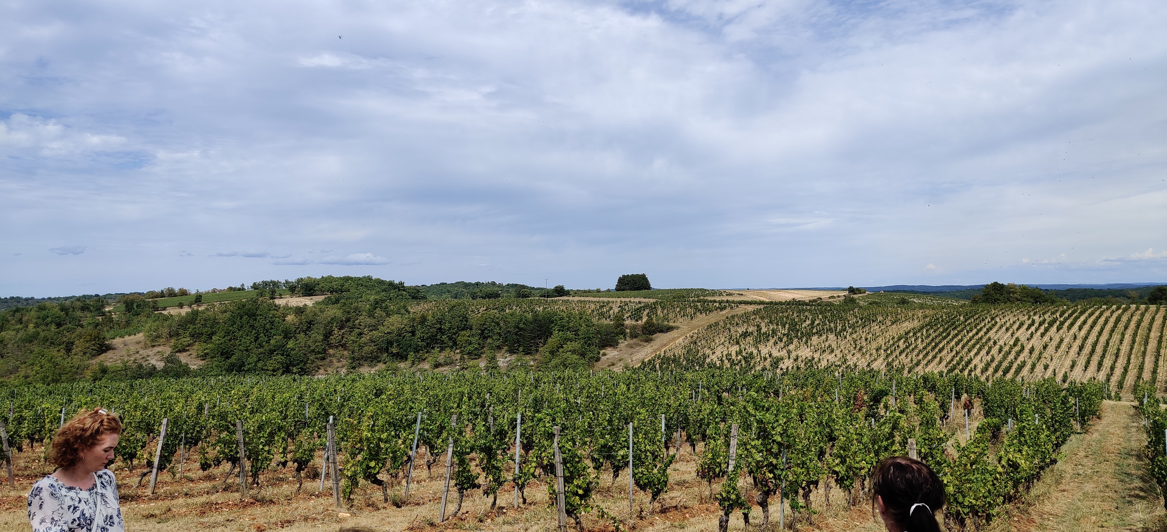 Photo n° 13 de l'avis de Ingmar.e fait le 15/09/2022 à 16:59