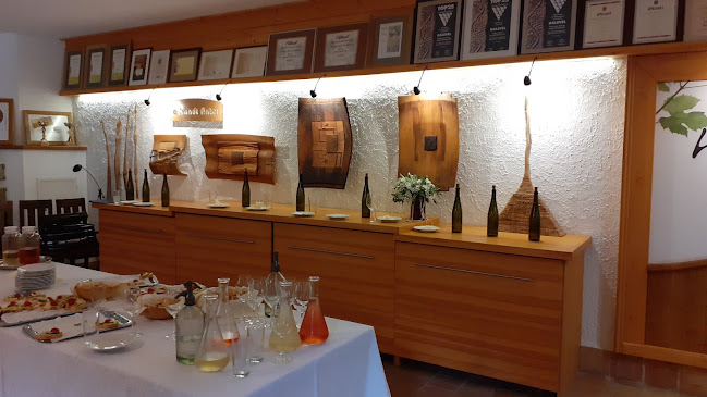 Telefonszám: Hetényi Pincészet és Apartmanház, Mecseknádasd