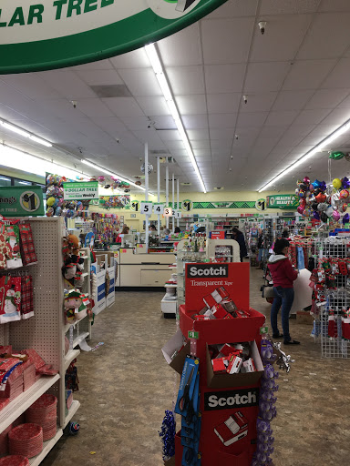 Dollar Store «Dollar Tree», reviews and photos, 1041 Vine St, Healdsburg, CA 95448, USA