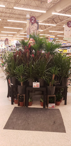 Supermarket «Weis Markets», reviews and photos, 4521 William Penn Hwy, Mifflintown, PA 17059, USA