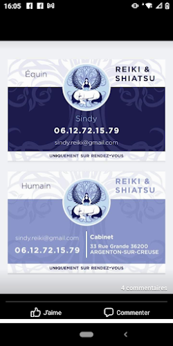 Centre de bien-être Sindy Reiki et Shiatsu Humain, Canin et Équin Argenton-sur-Creuse