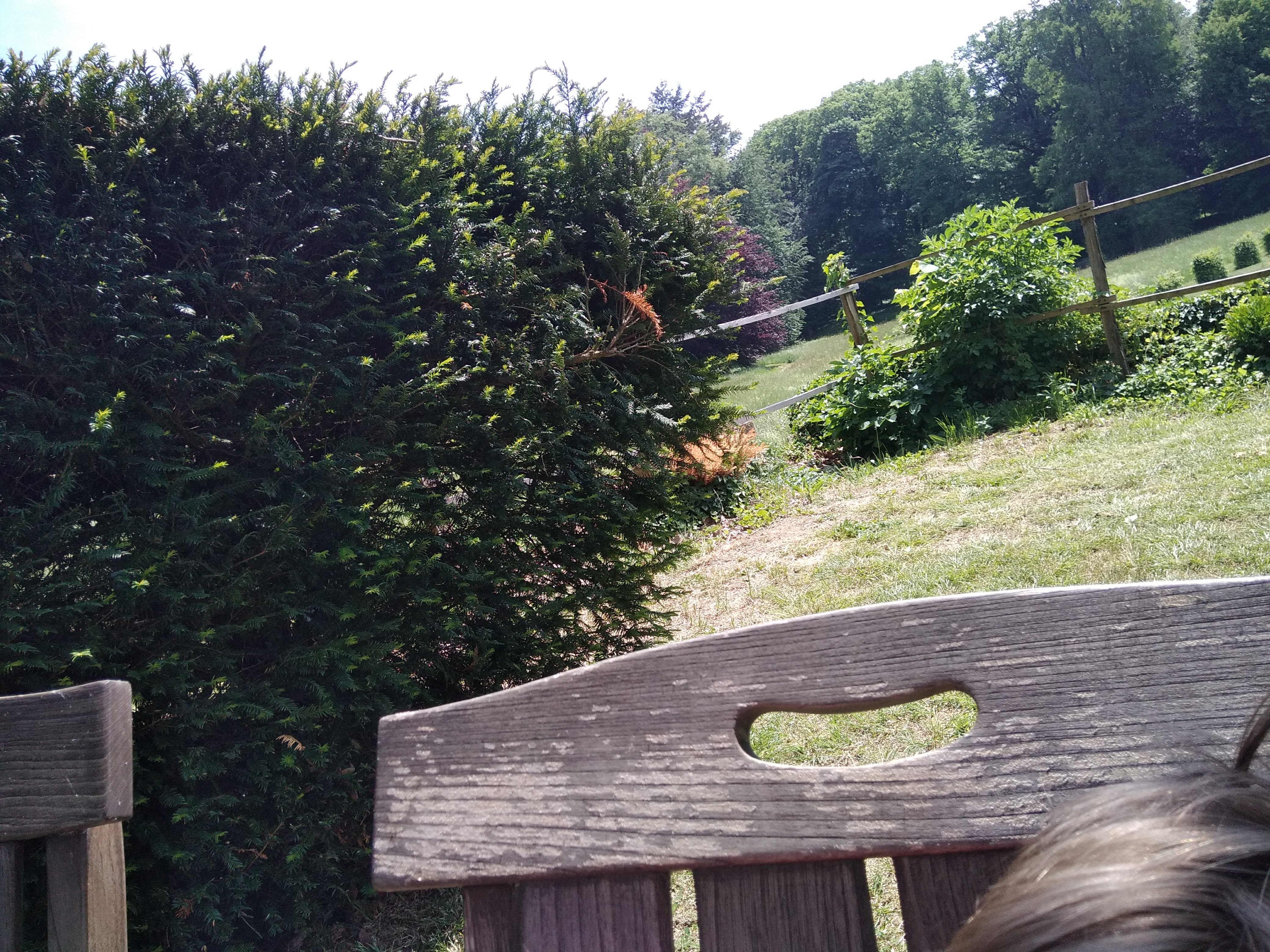 Photo n° 40 de l'avis de Rafaël. fait le 08/05/2018 à 11:48