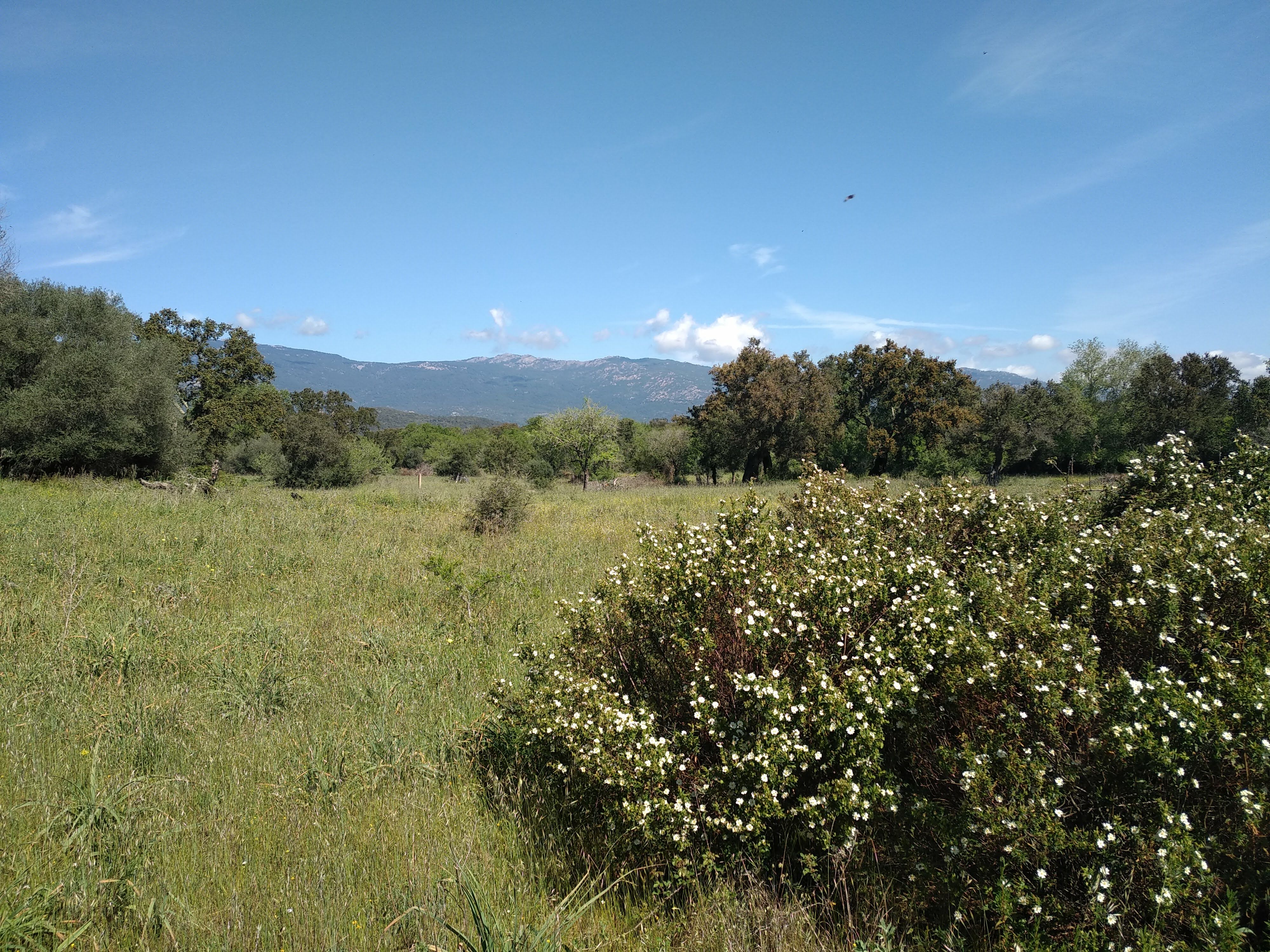 Photo n° 1 de l'avis de Jean-Paul.a fait le 17/06/2019 à 12:17