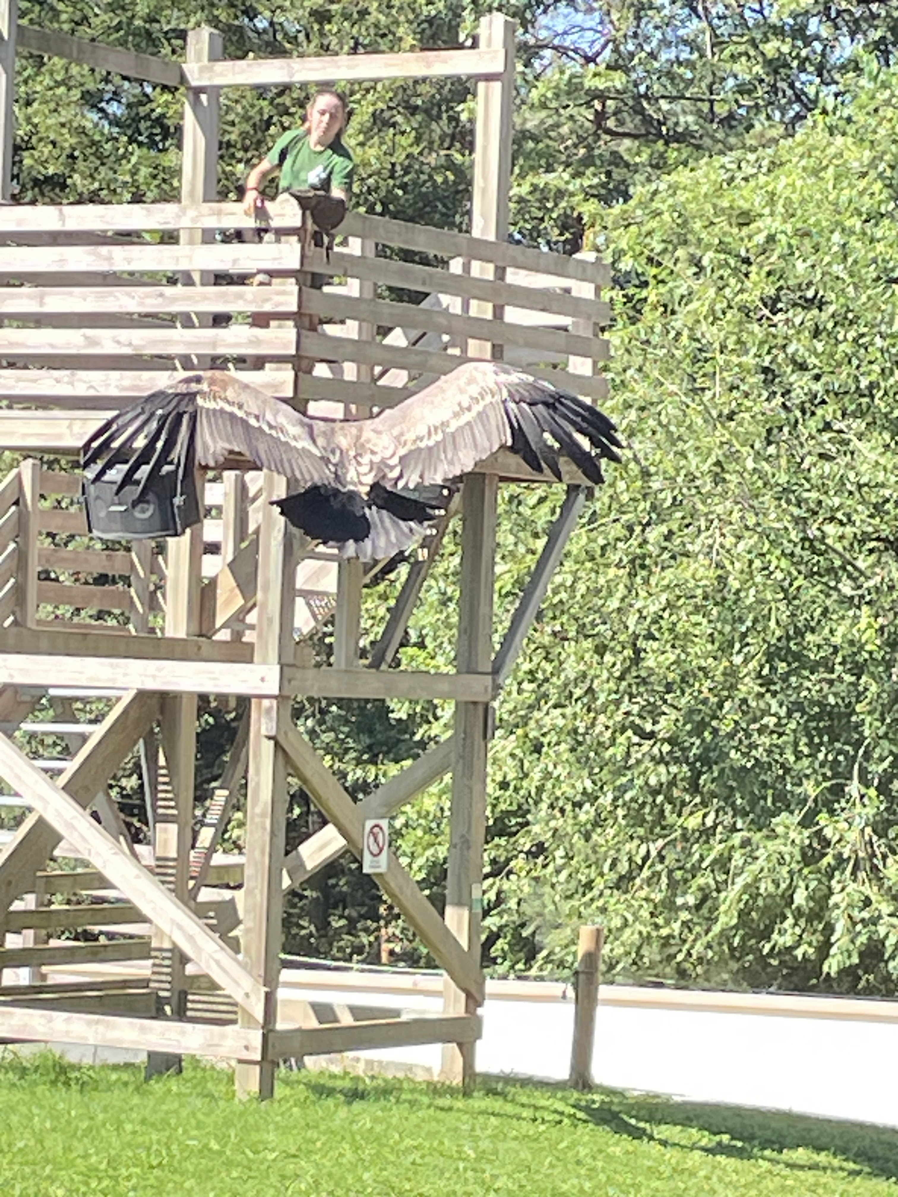 Photo n° 16 de l'avis de catherine.h fait le 22/08/2023 à 10:19