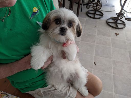 Pet Supply Store «Petco Animal Supplies», reviews and photos, 226 Thornton Drive, Dickson, TN 37055, USA