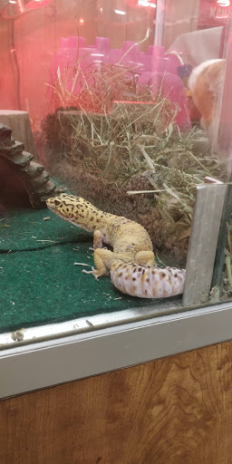 Pet Supply Store «Kahoots Pet Store», reviews and photos, 334 W El Norte Pkwy, Escondido, CA 92026, USA