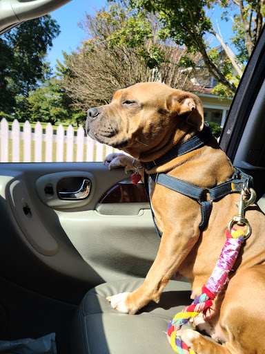 Pet Supply Store «Petco Animal Supplies», reviews and photos, 12641-310 Ocean Gateway, Ocean City, MD 21842, USA