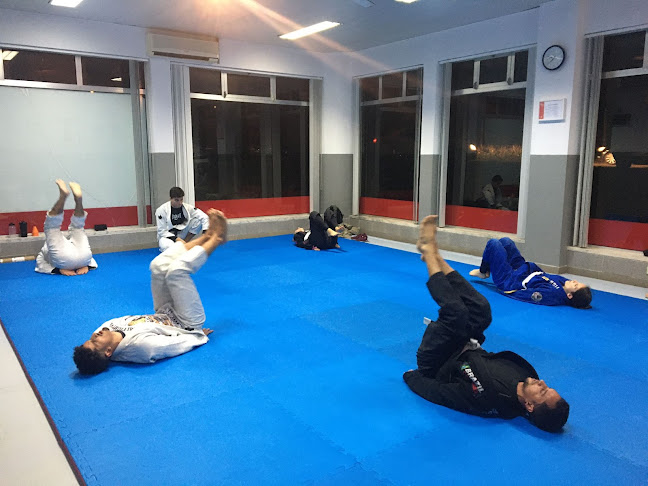 Avaliações doTBJJ - Tatagiba Brazilian Jiu Jitsu - Seixal em Seixal - Academia