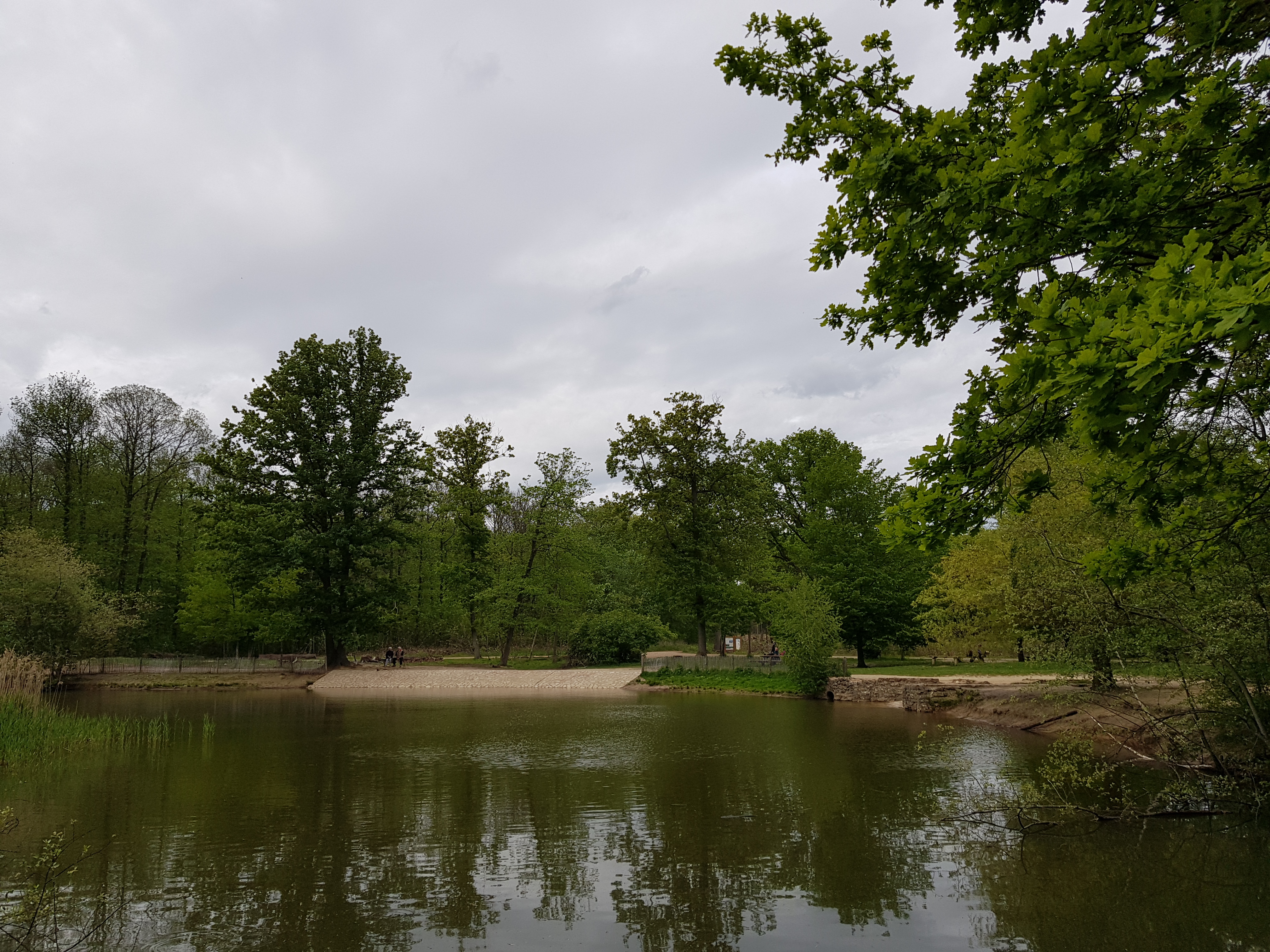 Photo n° 3 de l'avis de L.i fait le 20/05/2021 à 23:29