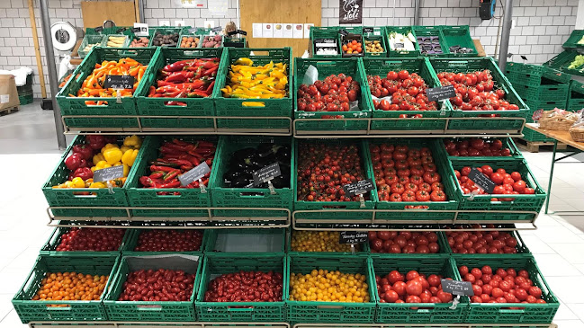 Rezensionen über Frischer vom Fischer Gemüseanbau in Einsiedeln - Supermarkt