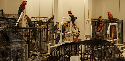 Shopping Mall «North Hanover Mall», reviews and photos, 1155 Carlisle St, Hanover, PA 17331, USA