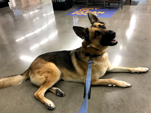 Pet Supply Store «Petco Animal Supplies», reviews and photos, 3194 FM407, Highland Village, TX 75077, USA