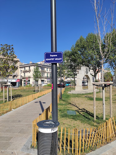 attractions Square Jeantet Violet Perpignan