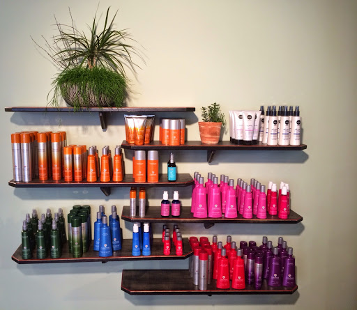 Hair Salon «Studio Chavarria», reviews and photos, 17 Rankin Ave, Asheville, NC 28801, USA