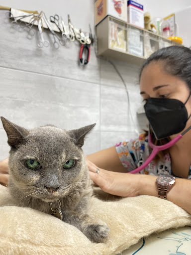 Clínica Veterinaria Fauno en San Javier