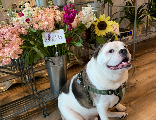 Florist «Tiger Lily Florist Inc.», reviews and photos, 131 Spring St, Charleston, SC 29403, USA