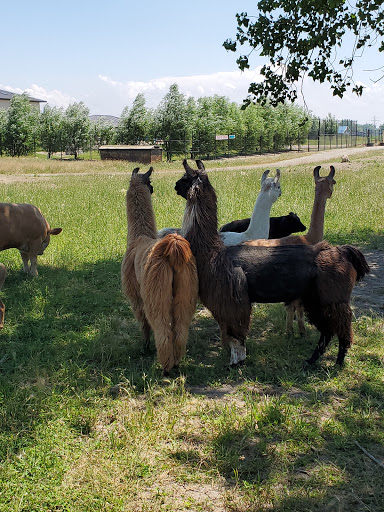 Water Park «Monsoon Lagoon Watering Hole Safari & Waterpark», reviews and photos, 1530 S Danbury Rd, Port Clinton, OH 43452, USA